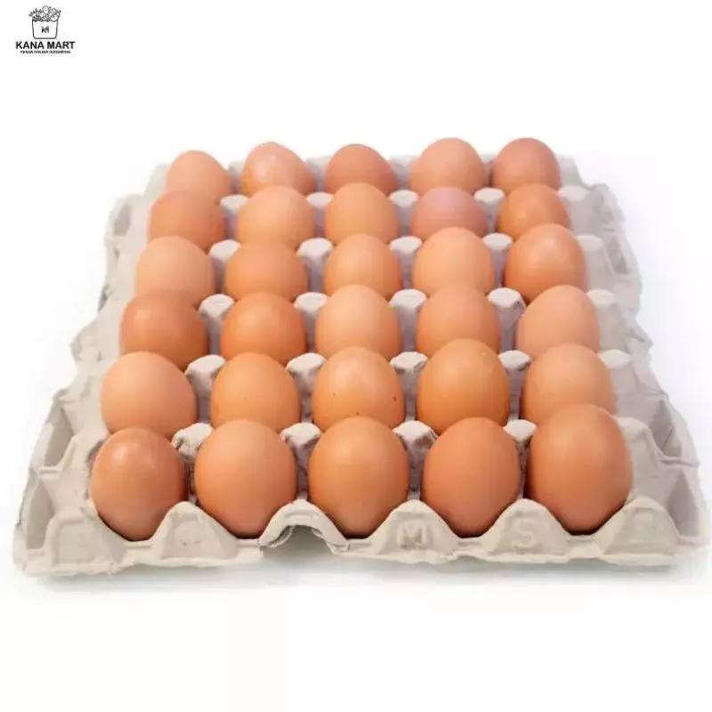 Kualitas Terbaik