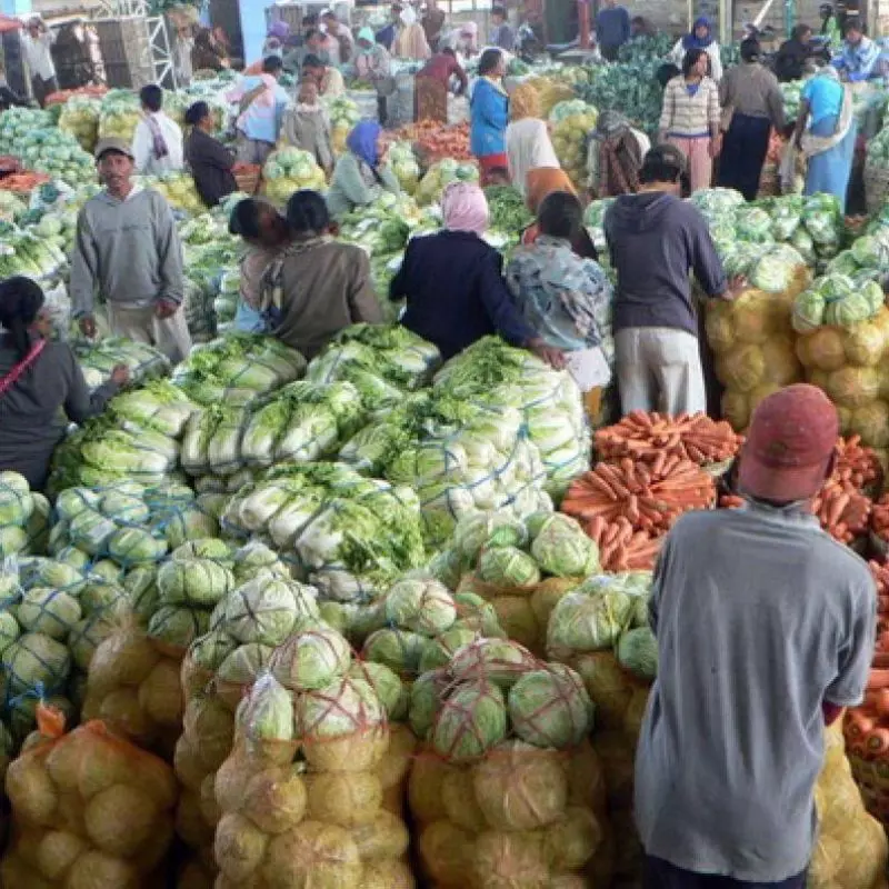 Begini Cara Mudah Memilih Sayur-Mayur yang Segar dan Berkualitas