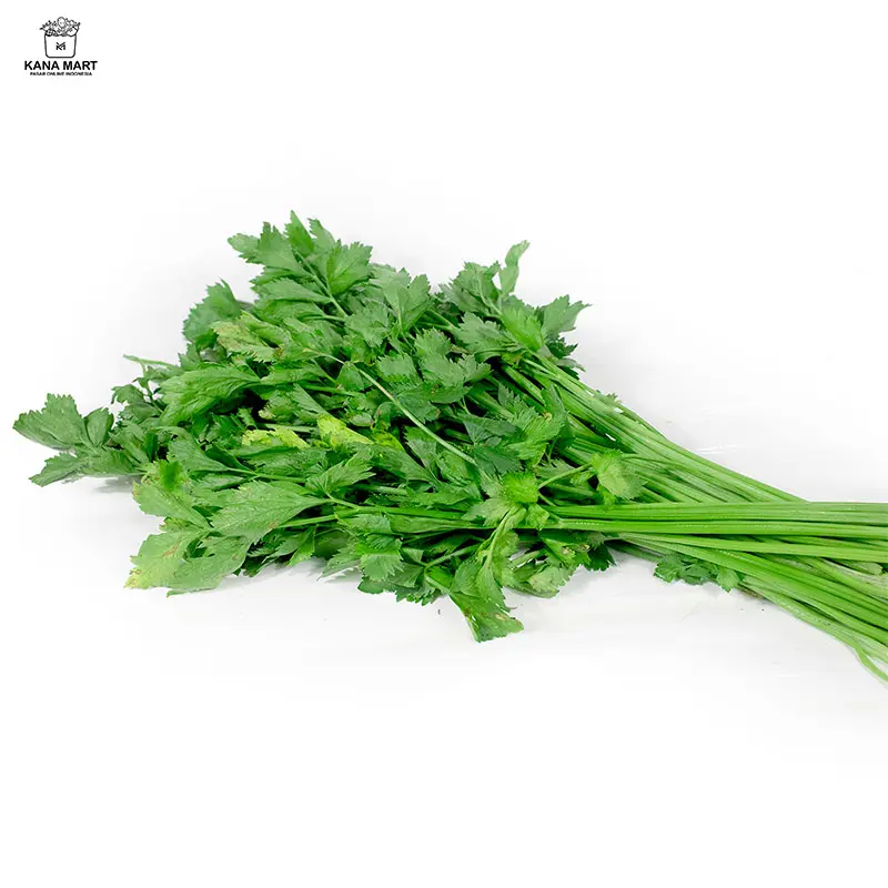Daun Seledri