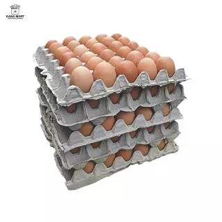 Telur Ayam Negeri 10kg