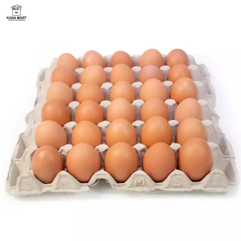 Telur Ayam Omega 30btr