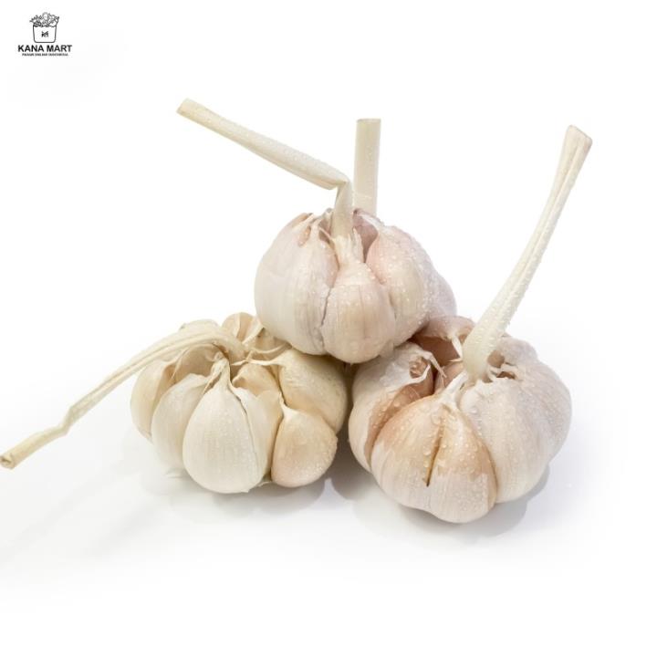 Bawang Putih