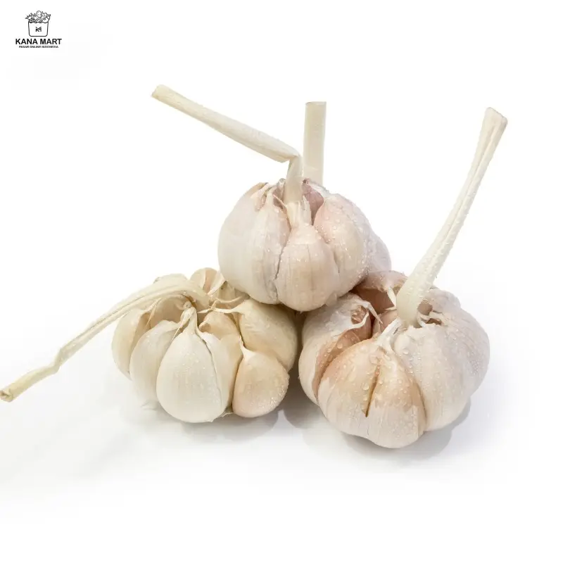 Bawang Putih