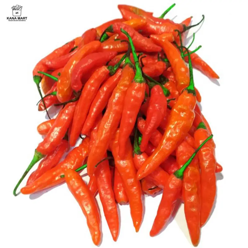 Cabe Merah Kecil