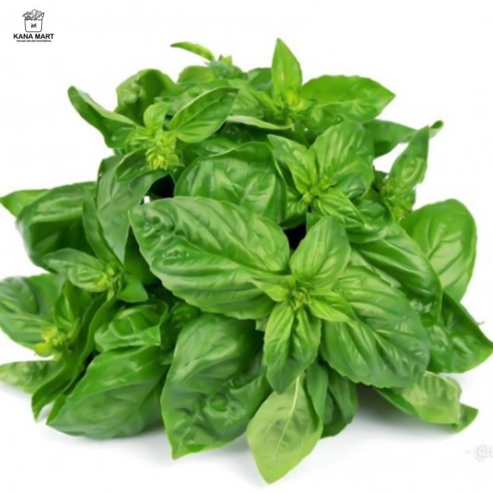 Daun Kemangi