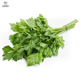 Daun Ketumbar