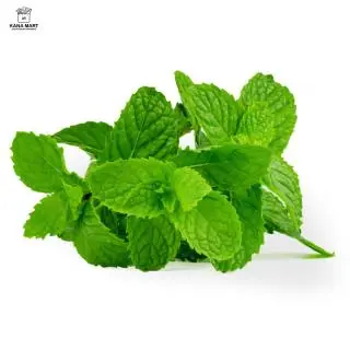 Daun Mint