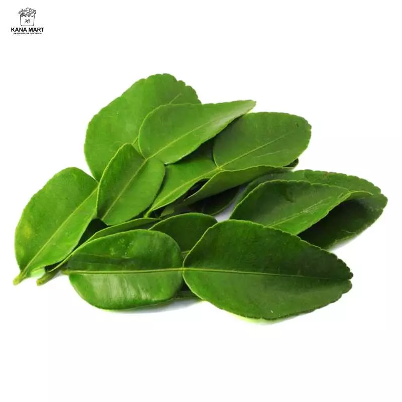 Daun Jeruk