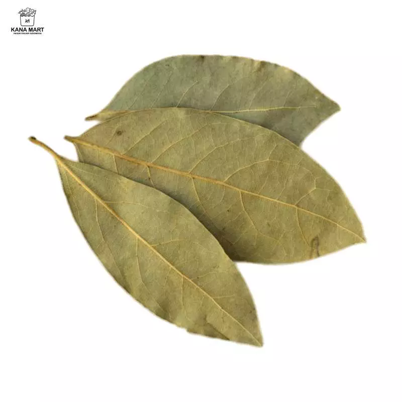 Daun Salam