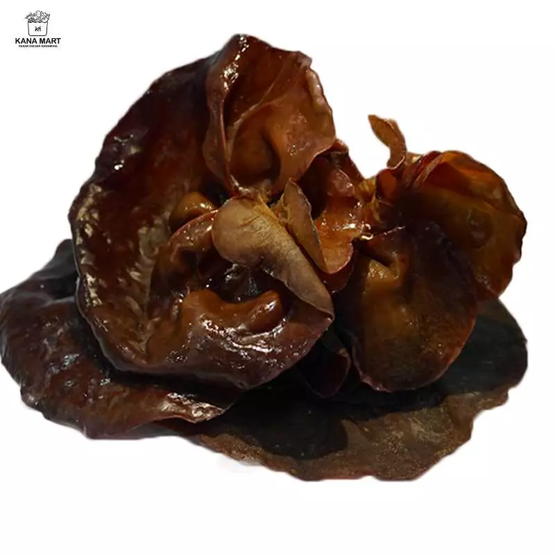 Jamur Kuping