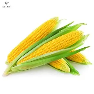 Jagung Manis