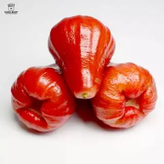 Jambu Citra